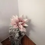 Niki Hvar شقة *