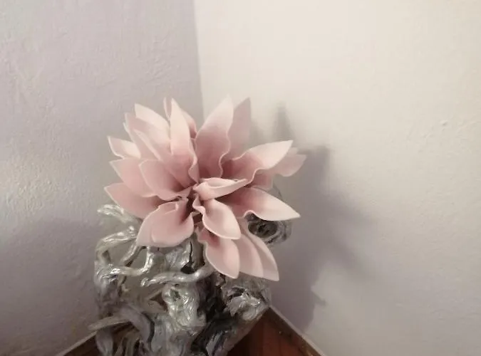 Niki Hvar Apartamento *